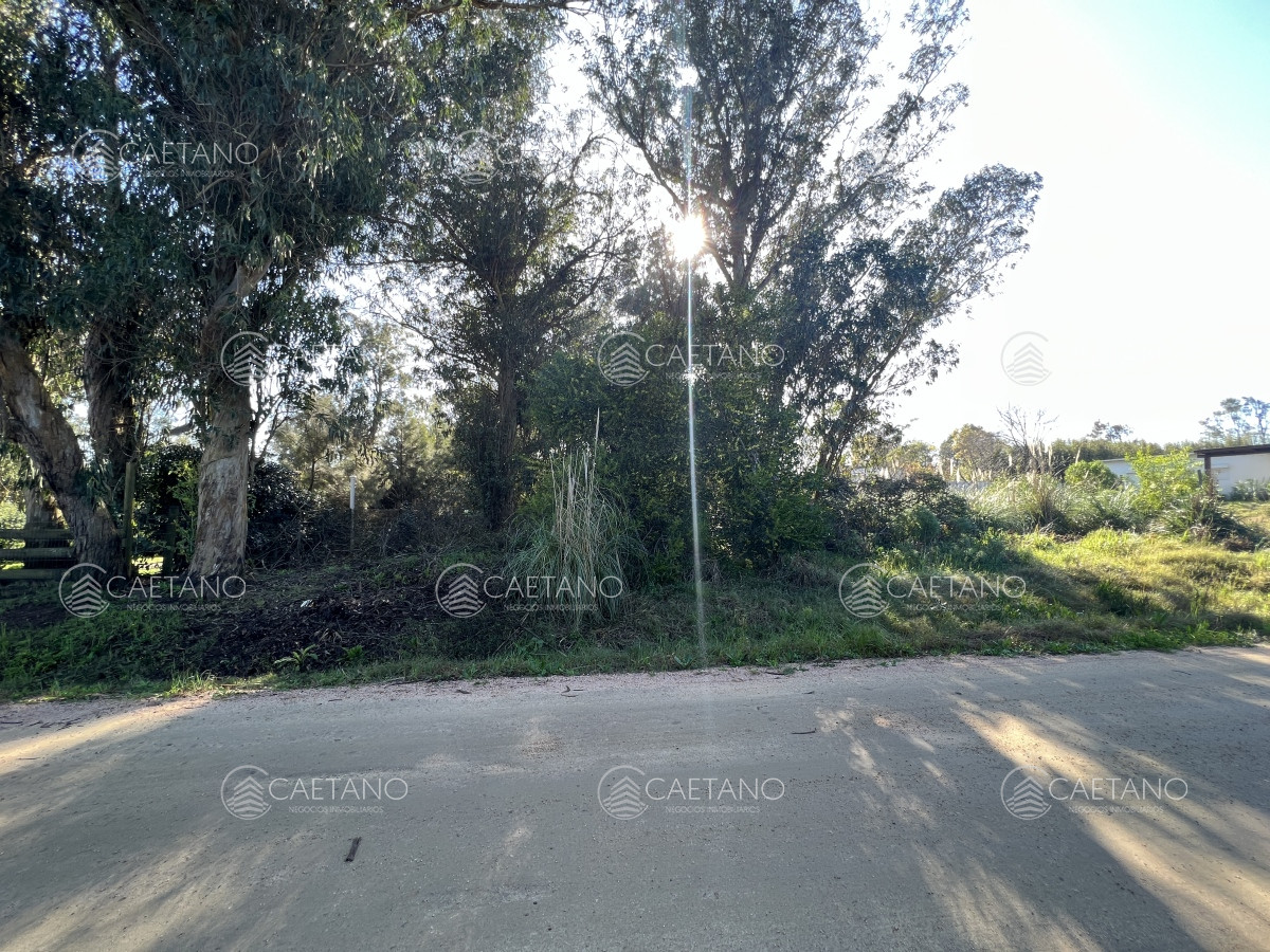 Propiedad - GoPunta - Portal Inmobiliario de Punta del Este - Maldonado
