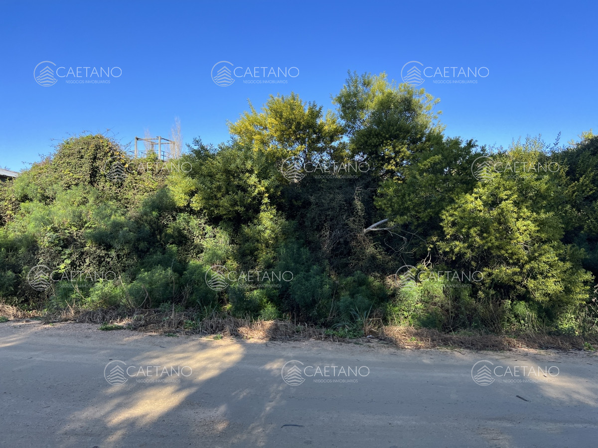 El Chorro - GoPunta - Portal Inmobiliario de Punta del Este - Maldonado