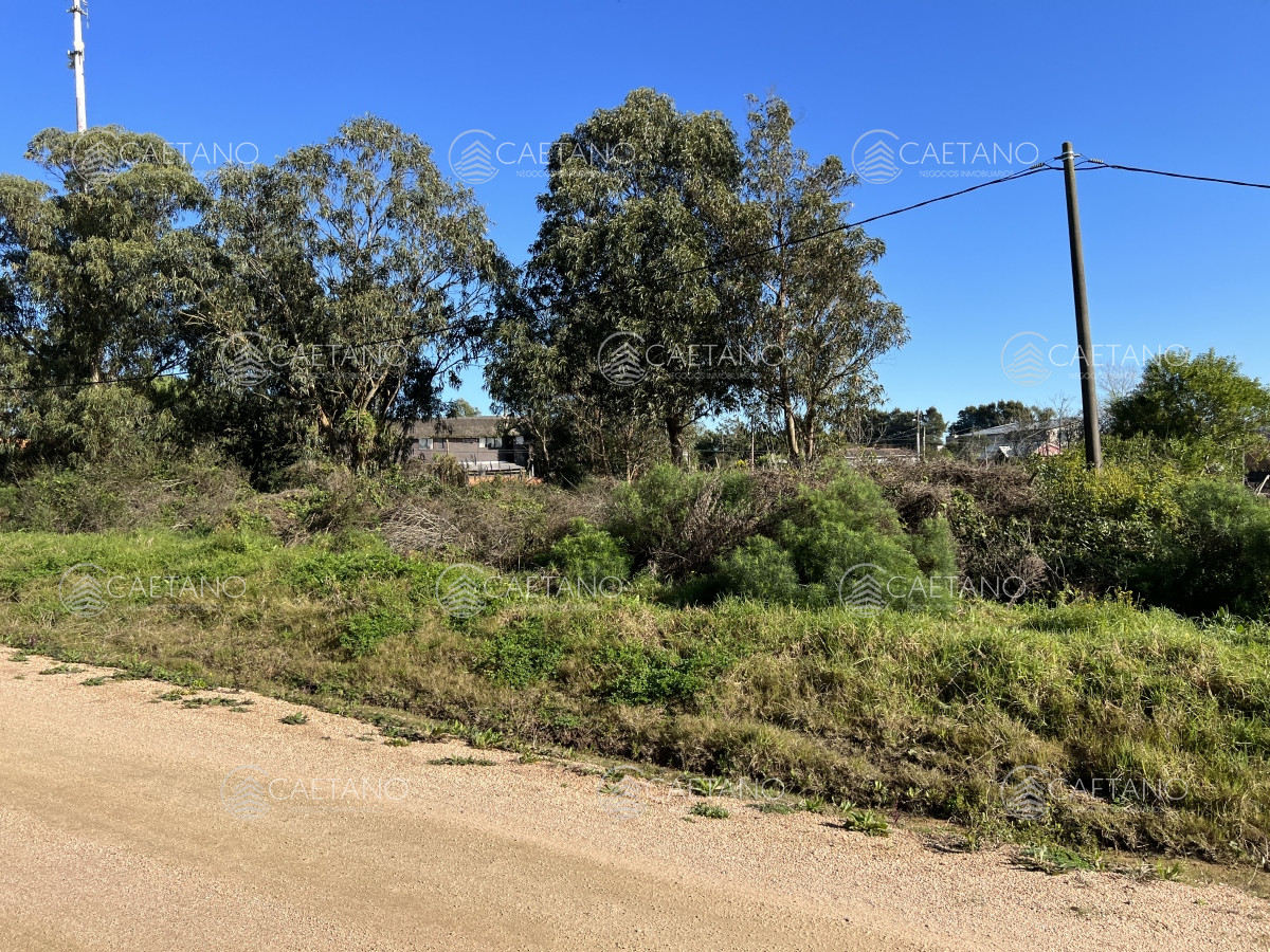 El Chorro - GoPunta - Portal Inmobiliario de Punta del Este - Maldonado