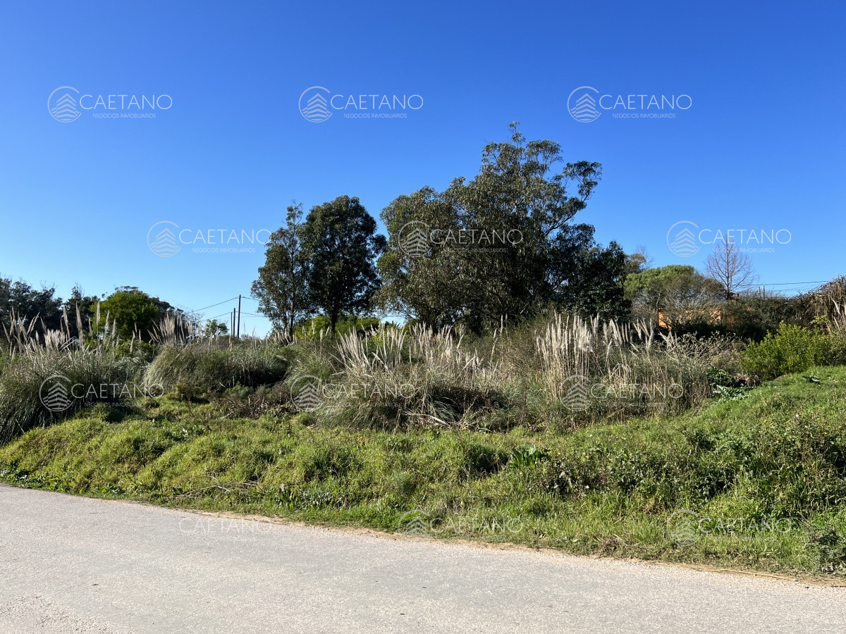 El Chorro - GoPunta - Portal Inmobiliario de Punta del Este - Maldonado