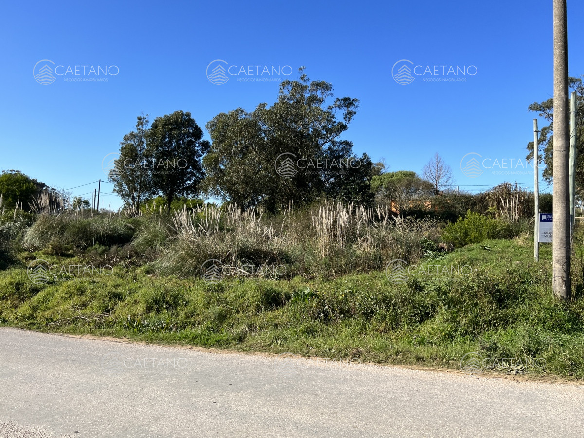 El Chorro - GoPunta - Portal Inmobiliario de Punta del Este - Maldonado