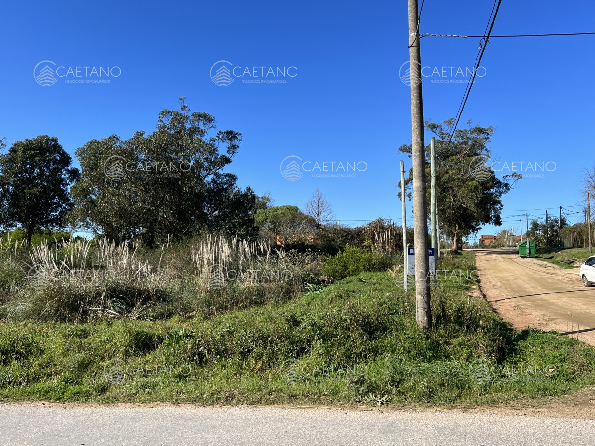 El Chorro - GoPunta - Portal Inmobiliario de Punta del Este - Maldonado
