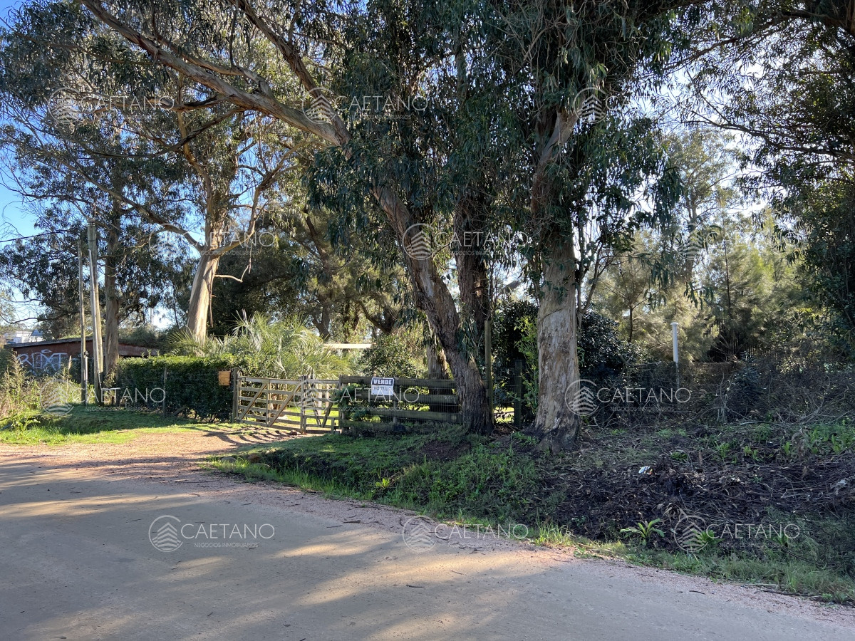 Propiedad - GoPunta - Portal Inmobiliario de Punta del Este - Maldonado