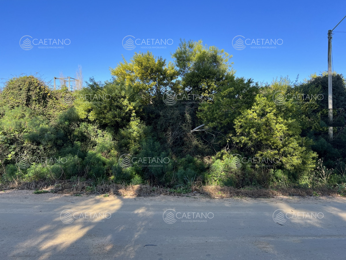 El Chorro - GoPunta - Portal Inmobiliario de Punta del Este - Maldonado