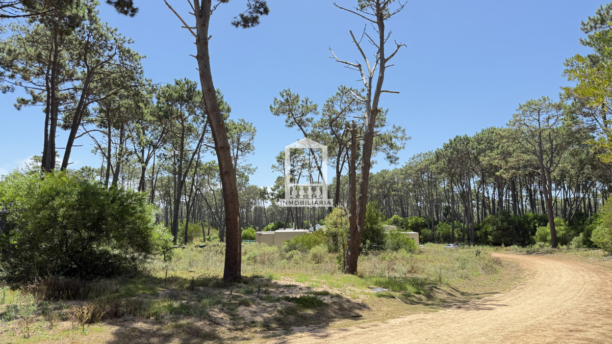 Exclusivo lote en Reserva Montoya, La Barra - NYP40772T