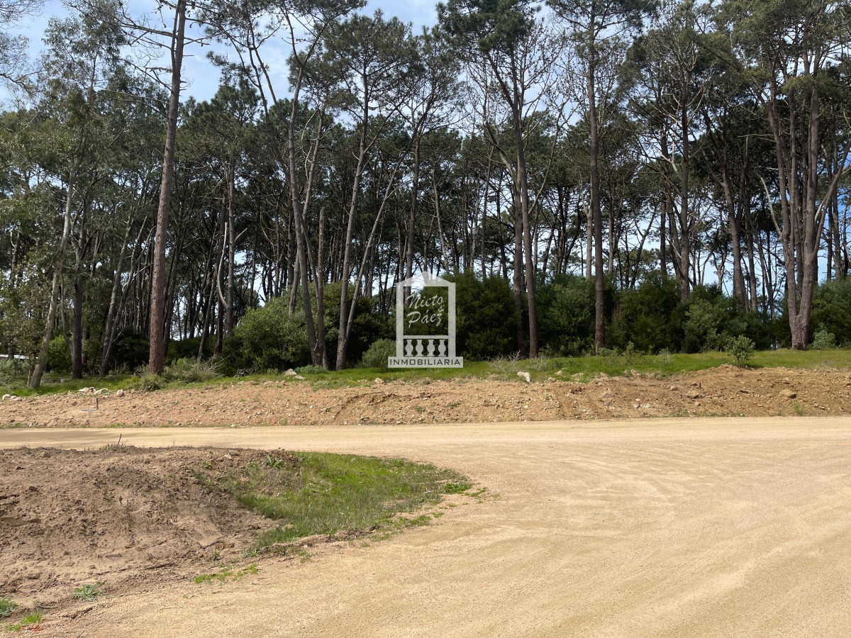 Lote en Venta en Reserva Montoya, La Barra - NYP40774T