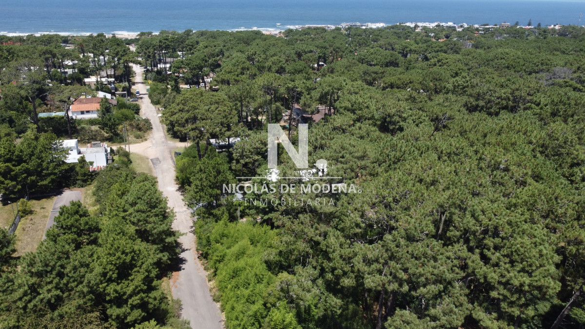Montoya - GoPunta - Portal Inmobiliario de Punta del Este - Maldonado