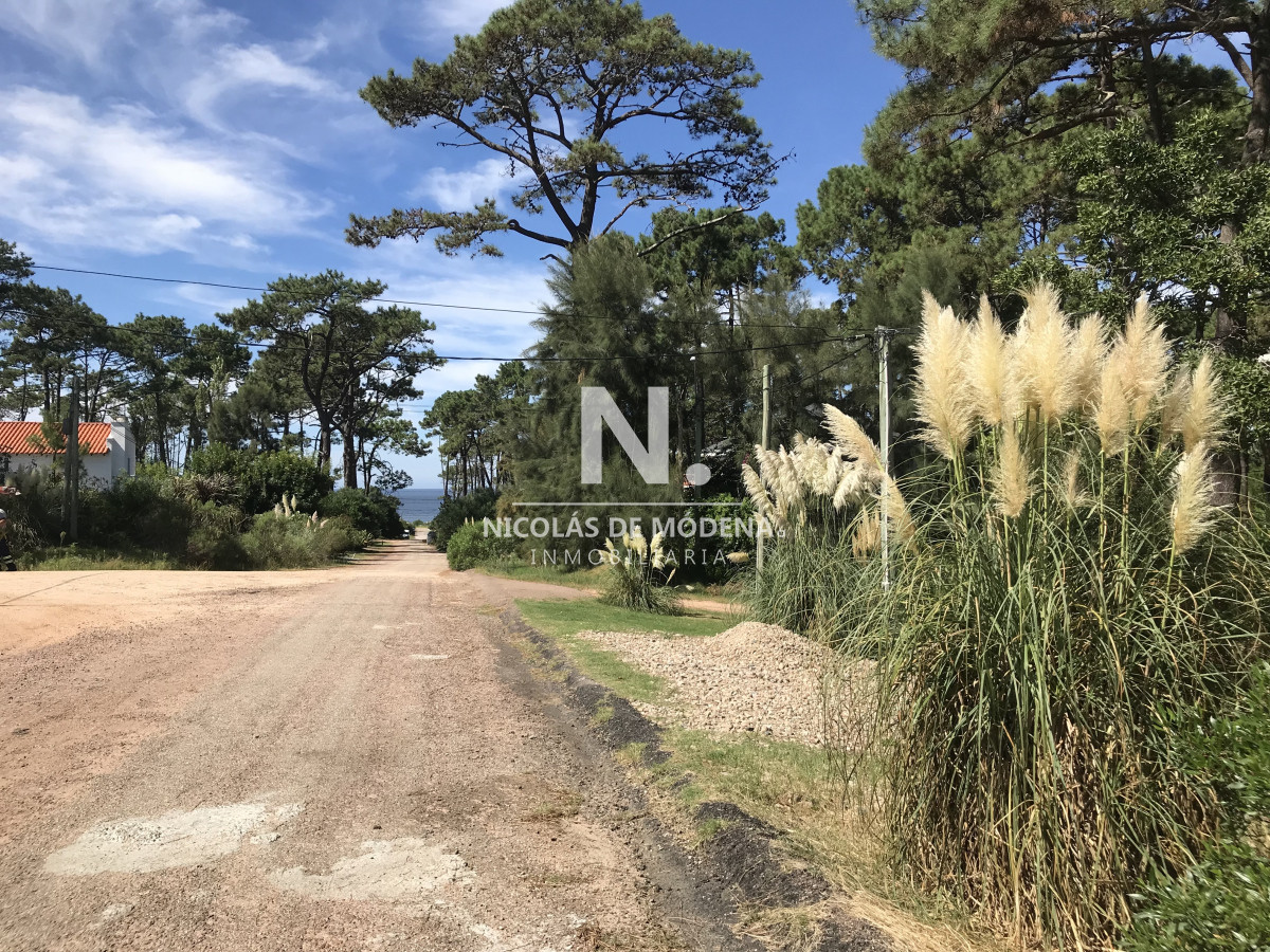 Montoya - GoPunta - Portal Inmobiliario de Punta del Este - Maldonado