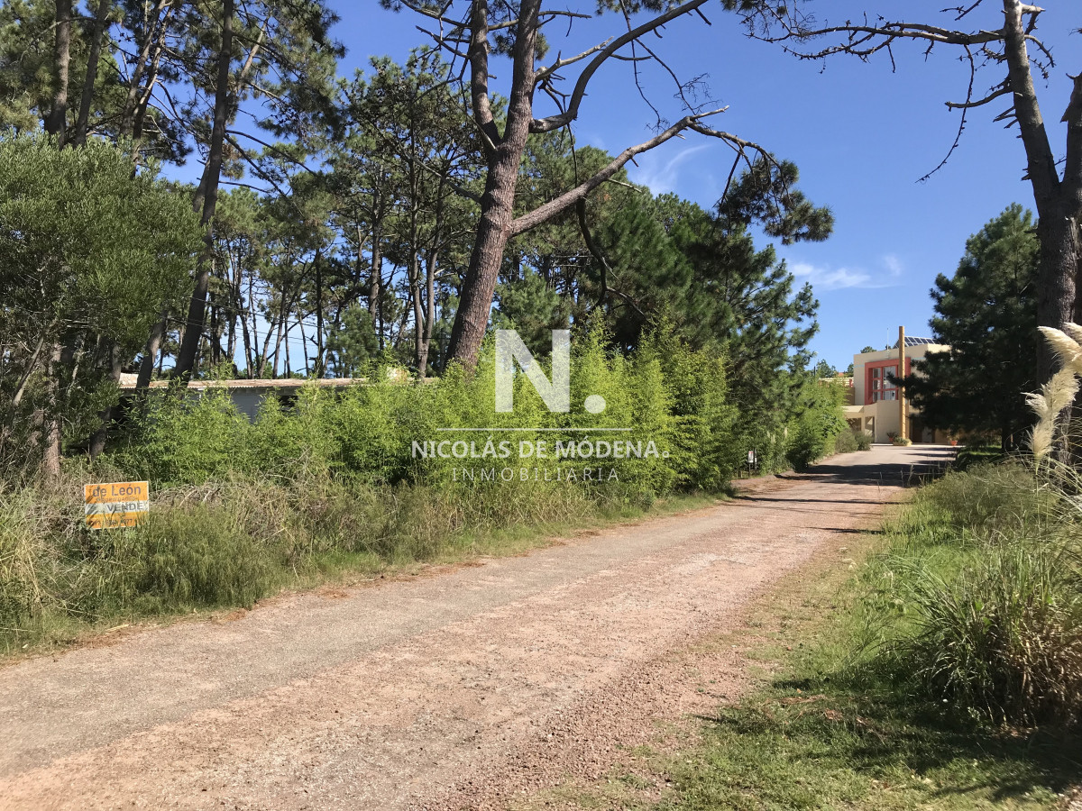 Montoya - GoPunta - Portal Inmobiliario de Punta del Este - Maldonado