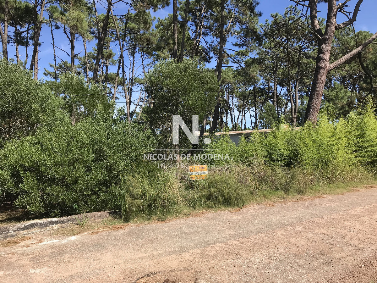 Montoya - GoPunta - Portal Inmobiliario de Punta del Este - Maldonado