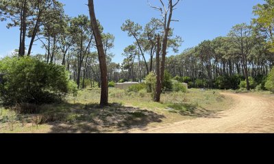 Venta terreno en Reserva Montoya, La Barra