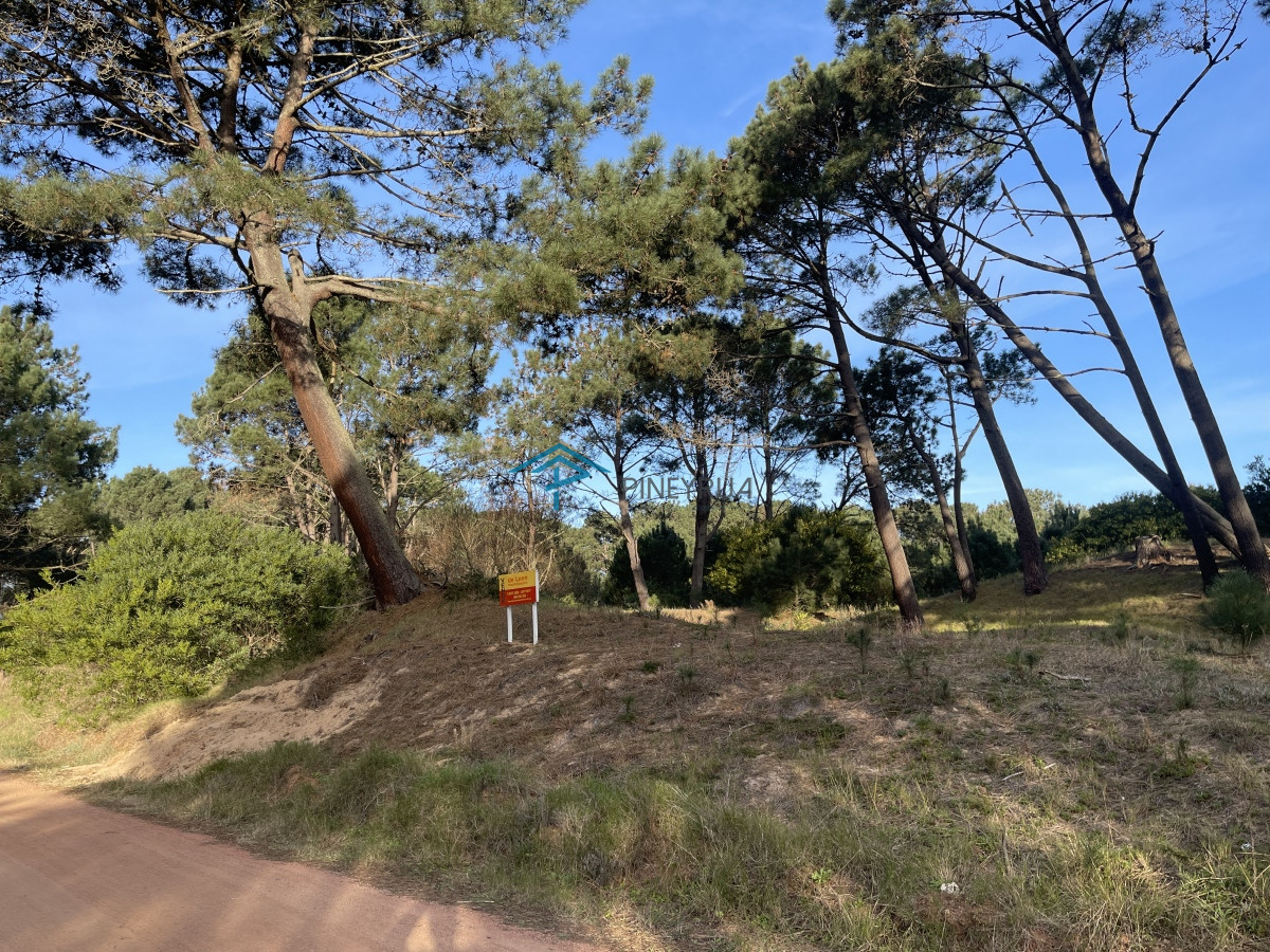 Lote en venta de 2600 metros en Barra Verde, La Barra