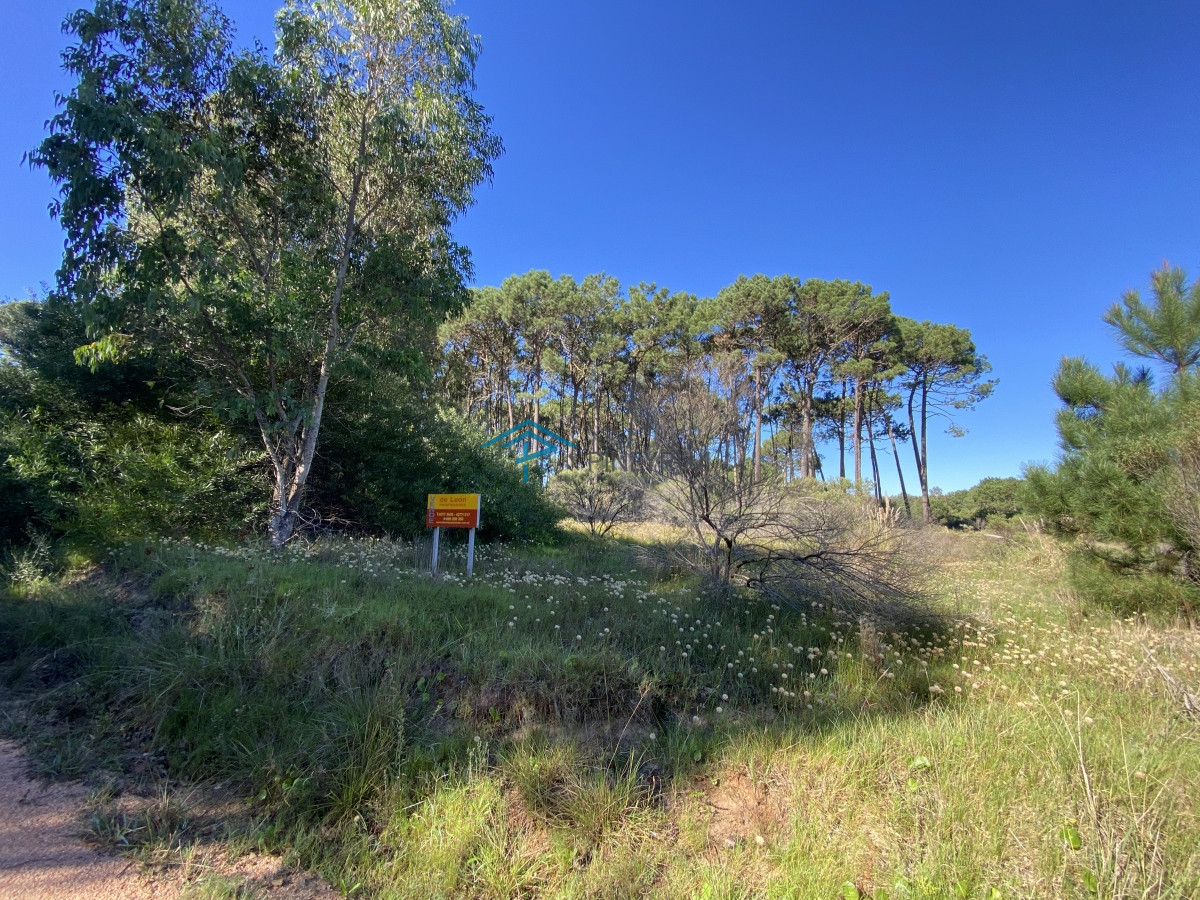 Lote en venta de 2600 metros en Barra Verde, La Barra