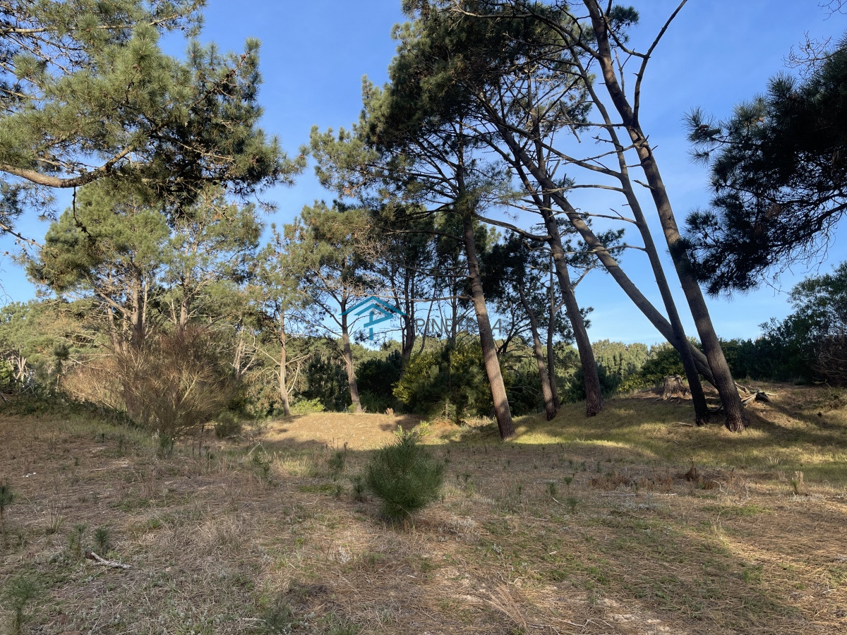 Lote en venta de 2600 metros en Barra Verde, La Barra