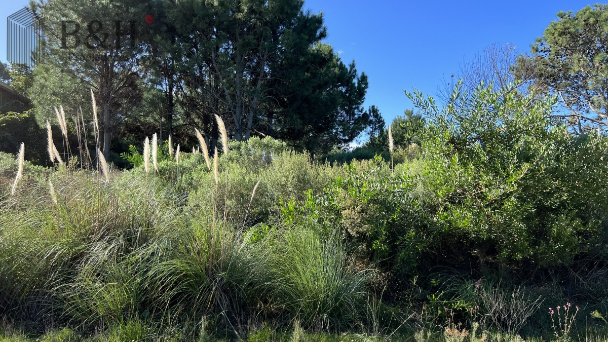 Terreno ID.3846 - Se vende amplio terreno esquinero en La Barra