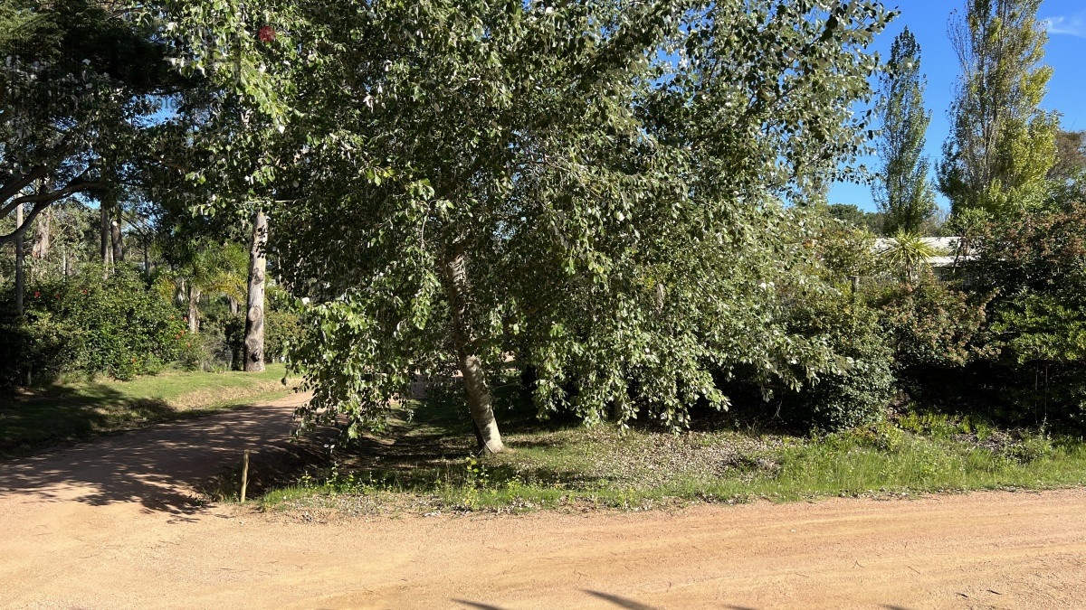 Terreno ID.3846 - Se vende amplio terreno esquinero en La Barra