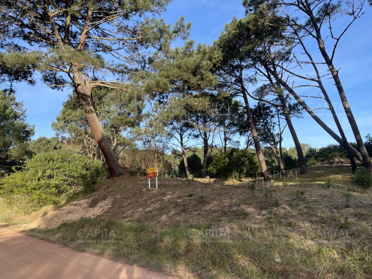 Terreno ID.38462 - Lote en venta de 2600 metros en Barra Verde, La Barra