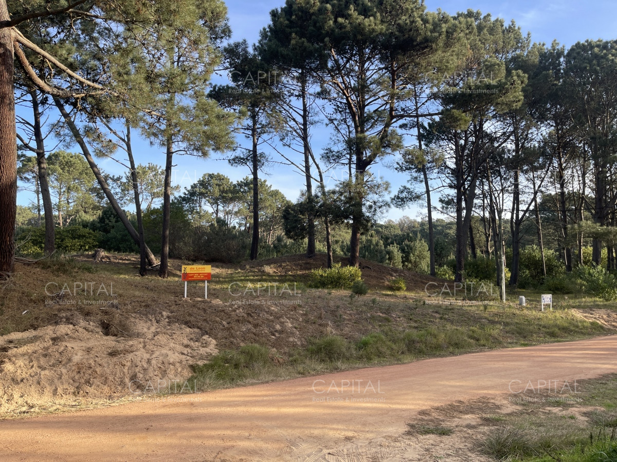 Terreno ID.38462 - Lote en venta de 2600 metros en Barra Verde, La Barra