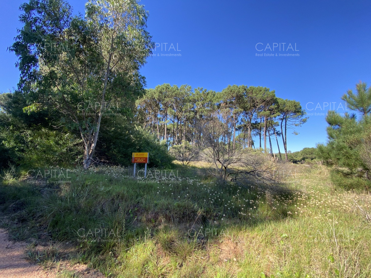 Terreno ID.38462 - Lote en venta de 2600 metros en Barra Verde, La Barra