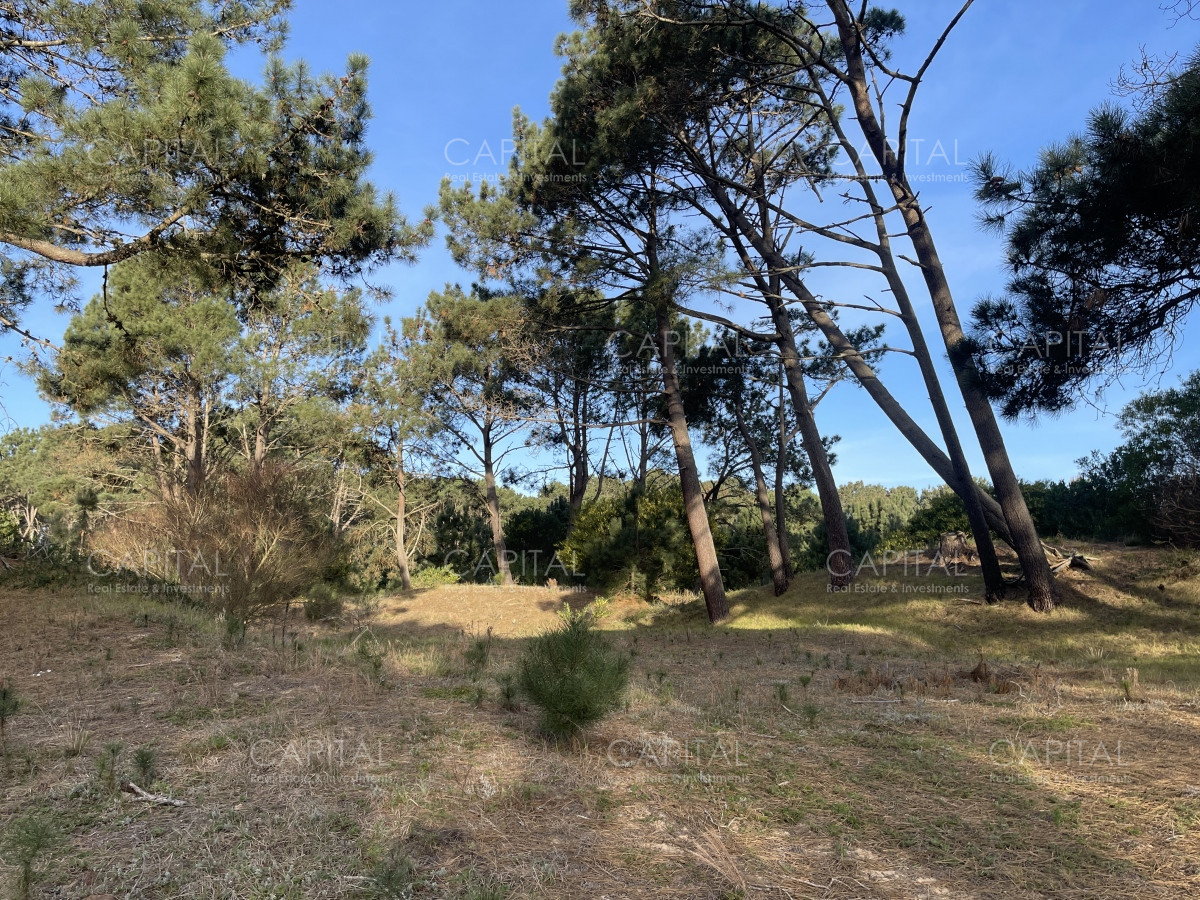 Terreno ID.38462 - Lote en venta de 2600 metros en Barra Verde, La Barra