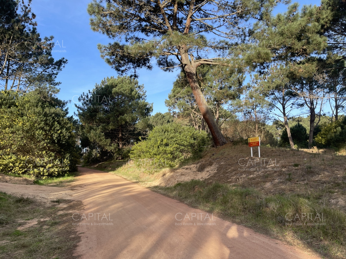 Terreno ID.38462 - Lote en venta de 2600 metros en Barra Verde, La Barra