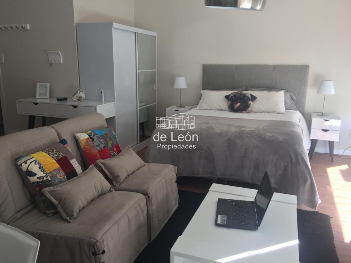 Apartamento ID.15065 - Departamento monoambiente en venta, Punta del Este