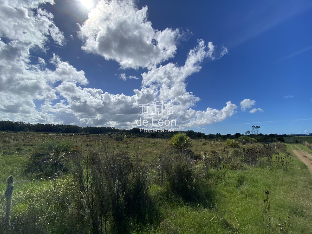Chacra ID.1141 - 