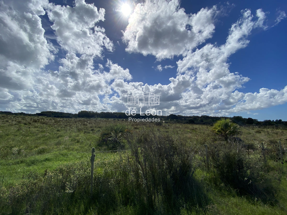 Chacra ID.1141 - 