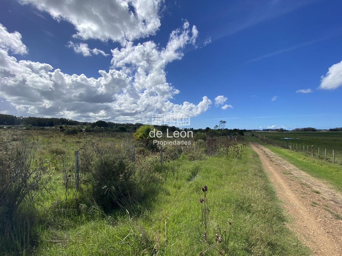 Chacra ID.1141 - 