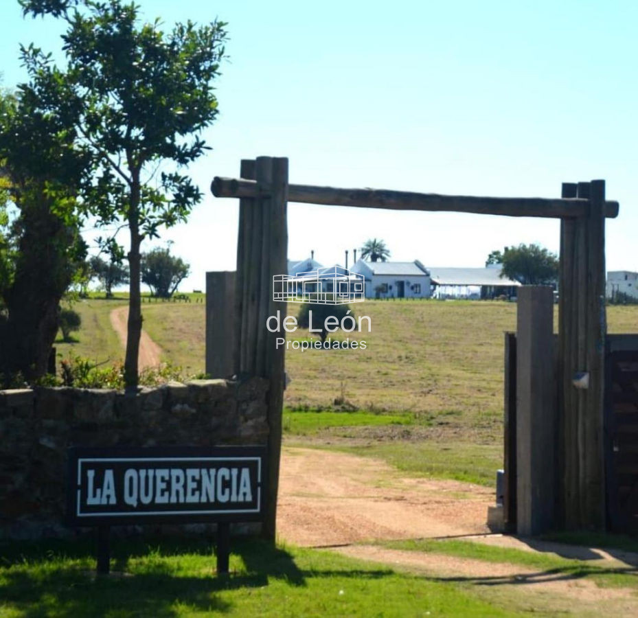 Chacra ID.1446 - 
