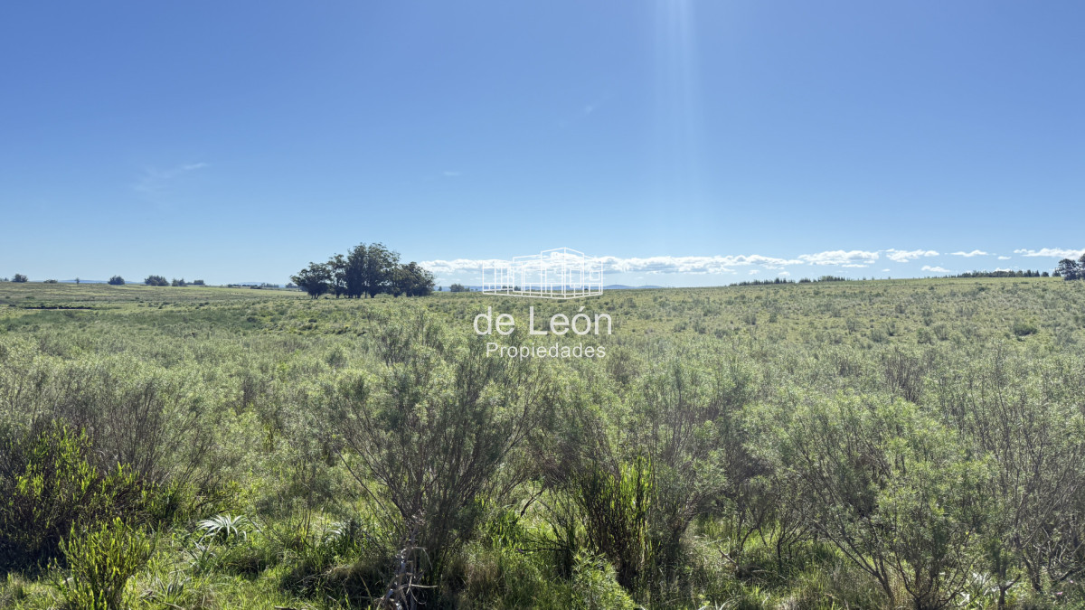Garzon - GoPunta - Portal Inmobiliario de Punta del Este - Maldonado