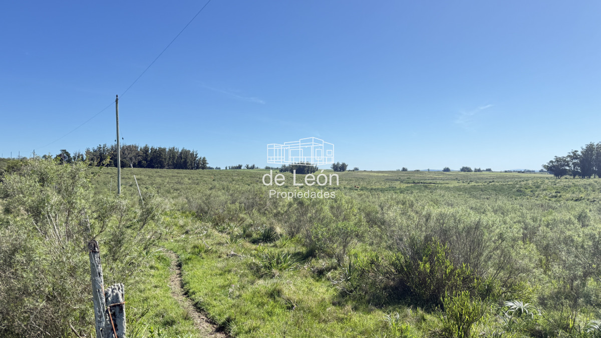 Garzon - GoPunta - Portal Inmobiliario de Punta del Este - Maldonado