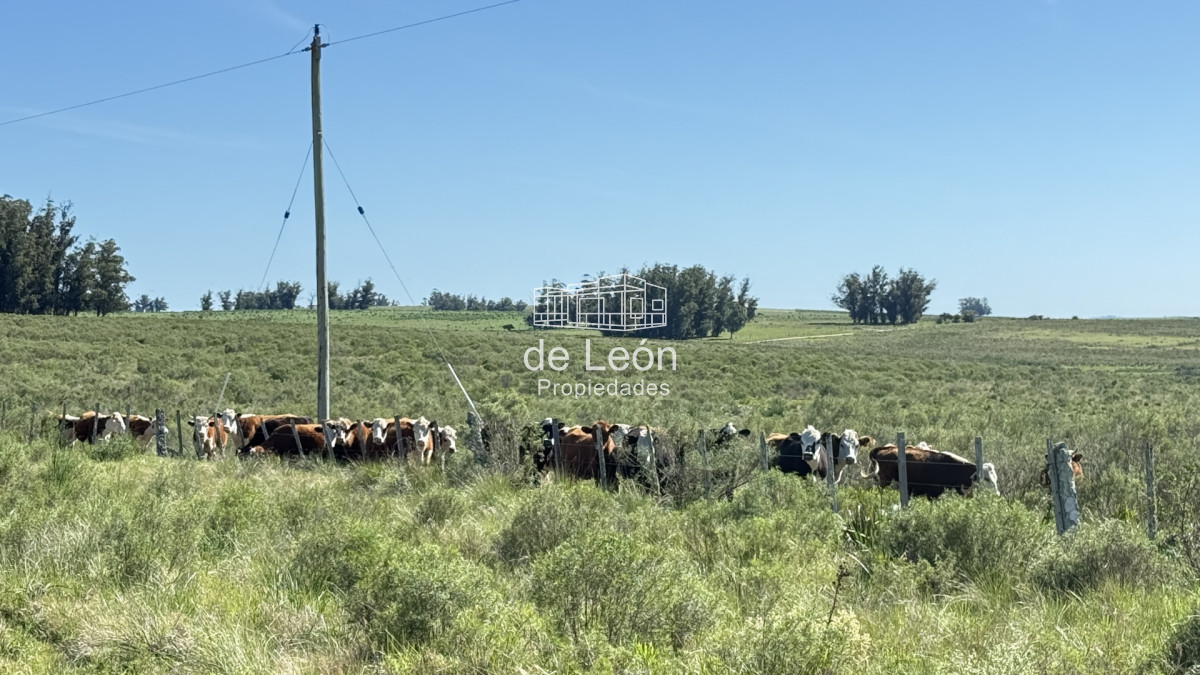 Chacra ID.15318 - Chacras de 3has en venta 