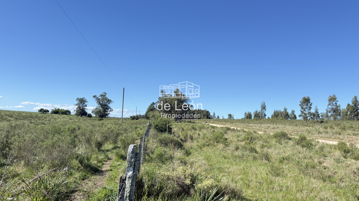 Chacra ID.15318 - Chacras de 3has en venta 