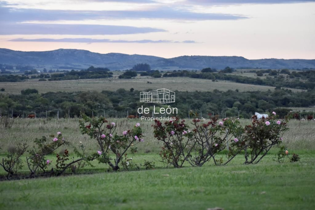 Chacra ID.15089 - Chacra con casa de campo en José Ignacio
