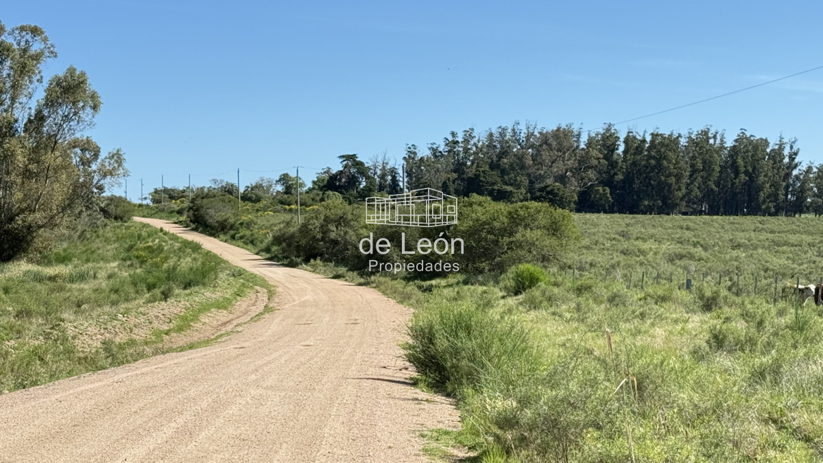 Chacra ID.15318 - Chacras de 3has en venta 