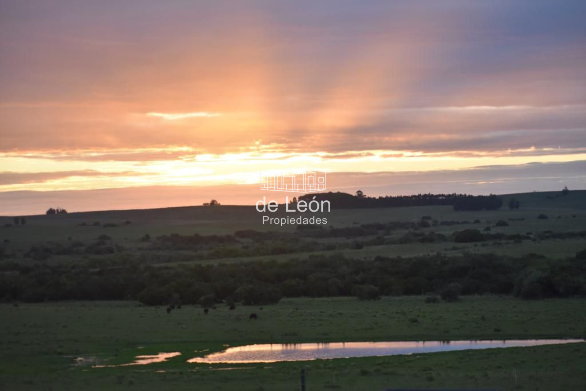 Chacra ID.15089 - Chacra con casa de campo en José Ignacio