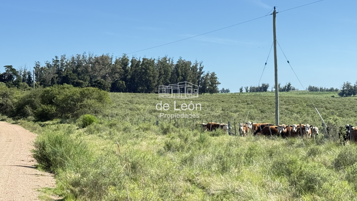 Chacra ID.15318 - Chacras de 3has en venta 