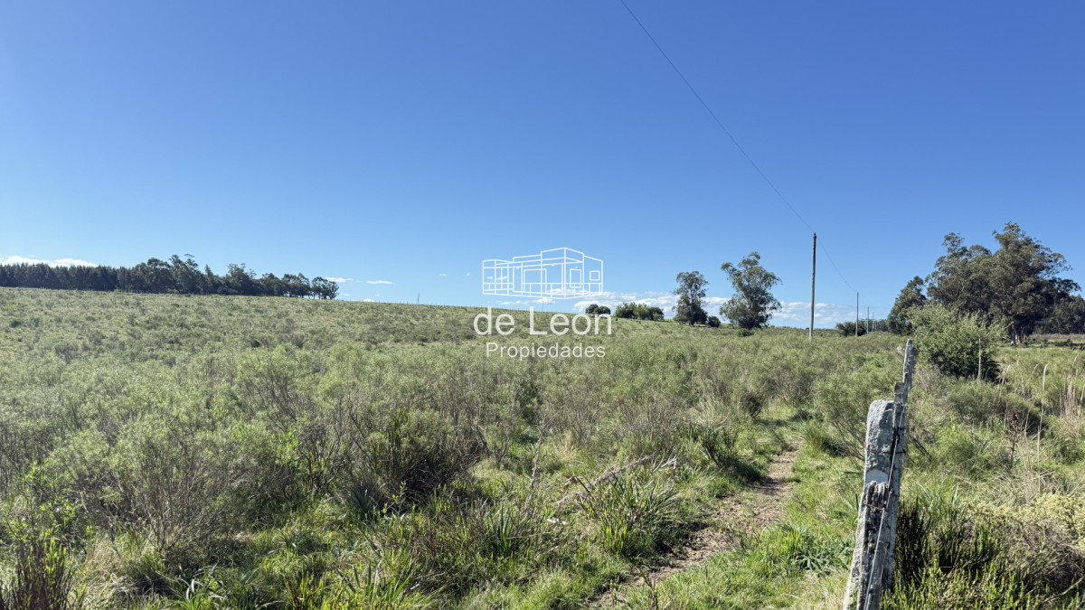 Chacra ID.15318 - Chacras de 3has en venta 