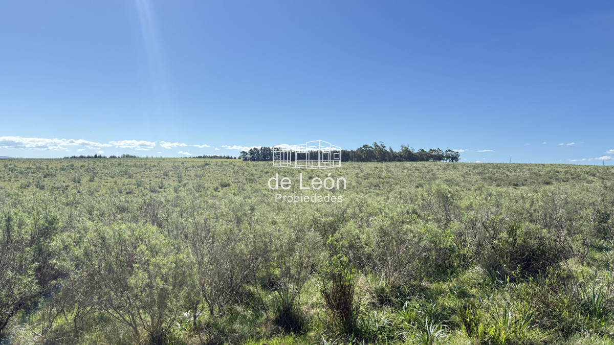 Garzon - GoPunta - Portal Inmobiliario de Punta del Este - Maldonado