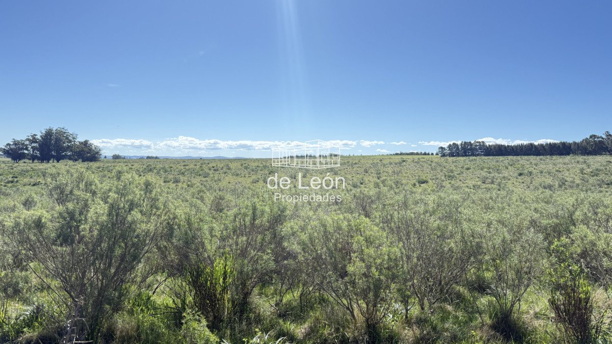 Garzon - GoPunta - Portal Inmobiliario de Punta del Este - Maldonado