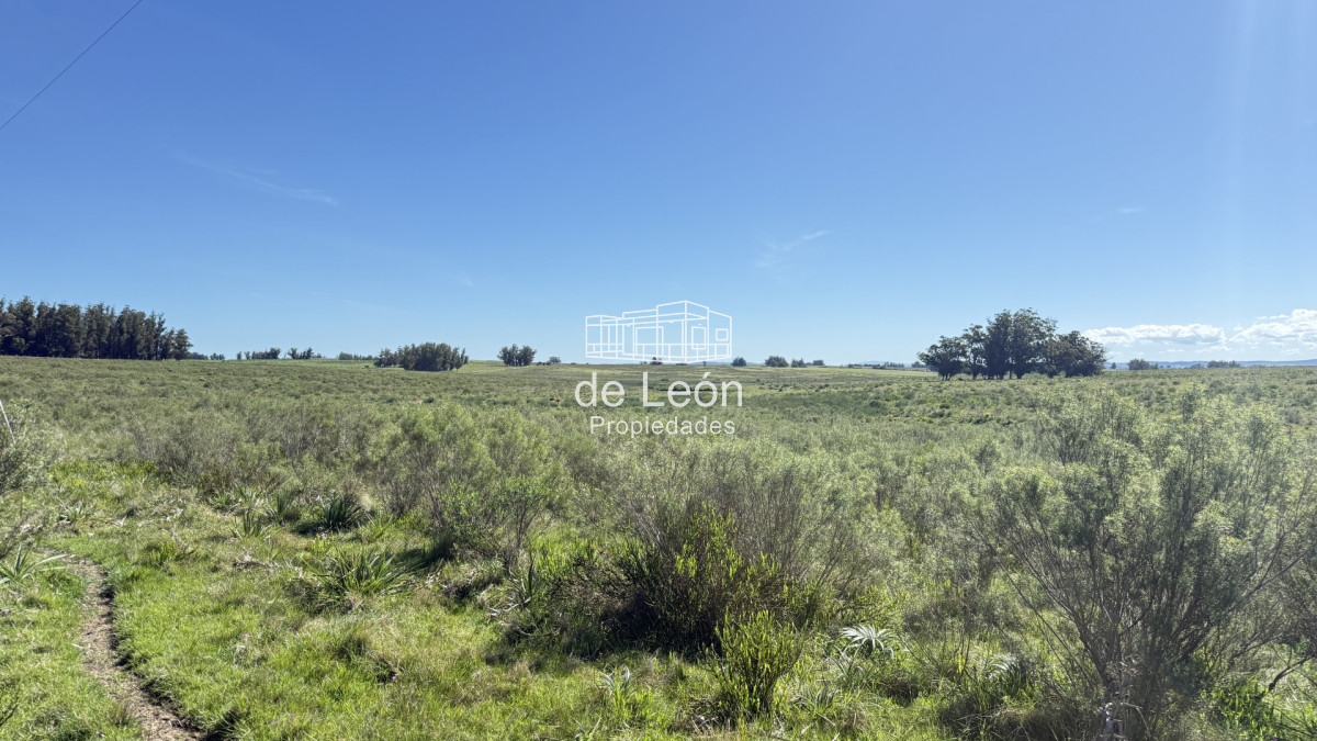 Garzon - GoPunta - Portal Inmobiliario de Punta del Este - Maldonado