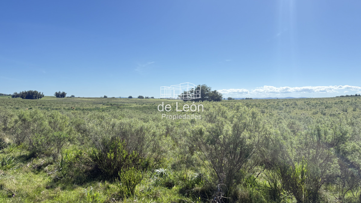 Garzon - GoPunta - Portal Inmobiliario de Punta del Este - Maldonado