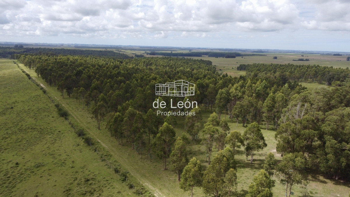 Campo Ref.15030 - Campo de 123 has en Garzon por camino Sainz Martinez