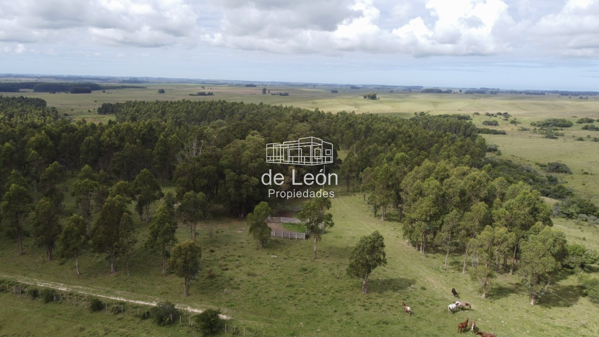 Campo Ref.15030 - Campo de 123 has en Garzon por camino Sainz Martinez