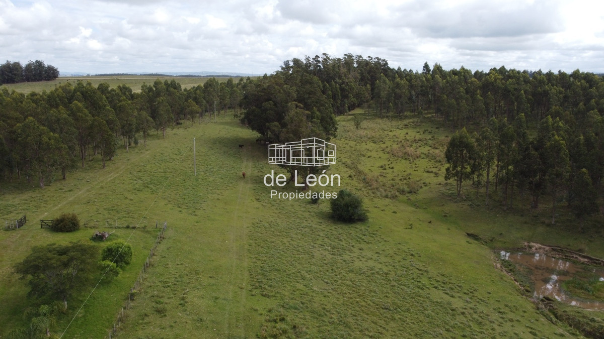 Campo Ref.15030 - Campo de 123 has en Garzon por camino Sainz Martinez