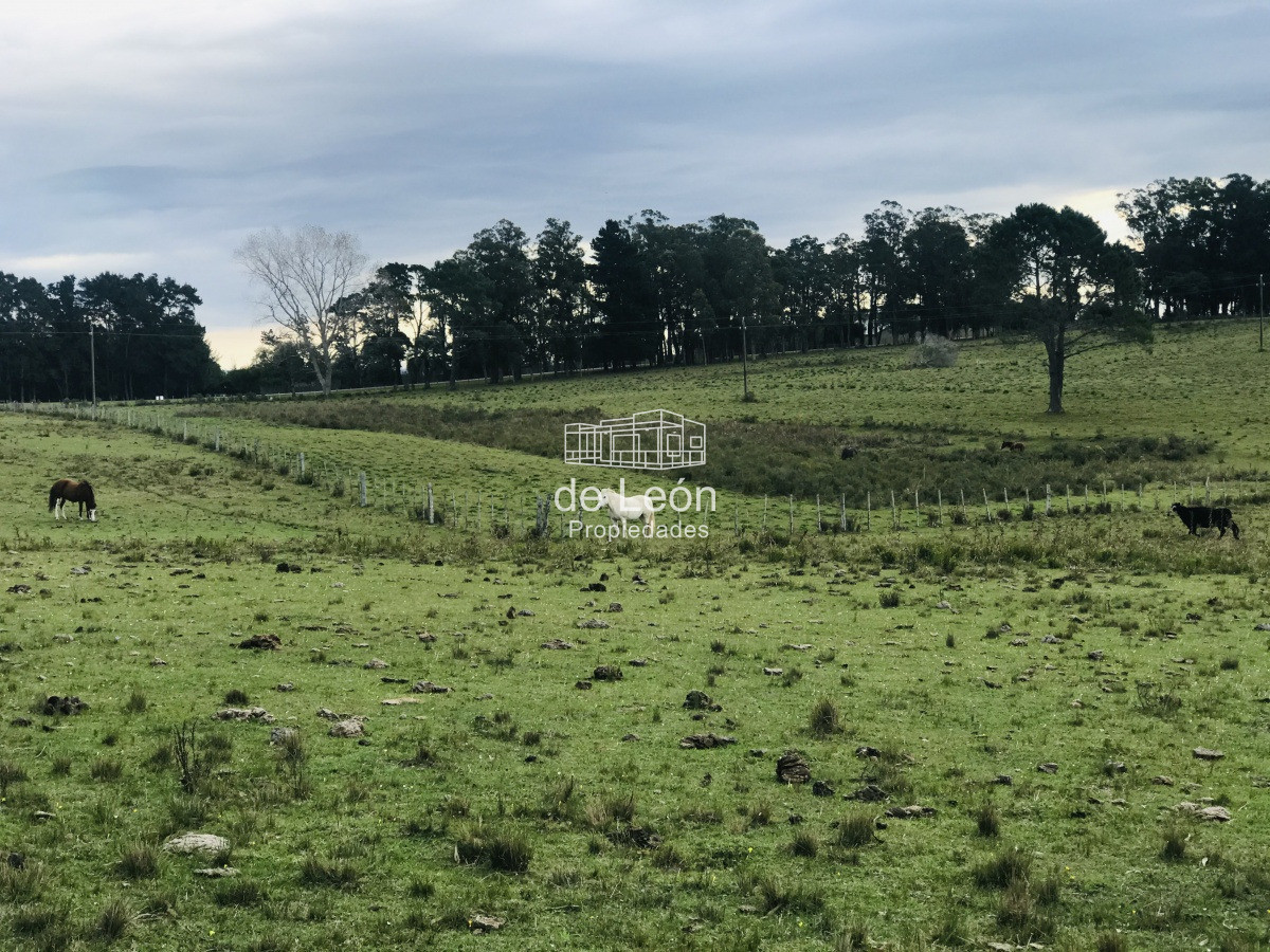 Campo en venta sobre Ruta 104 La Barra - GoPunta - Portal Inmobiliario de Punta del Este - Maldonado