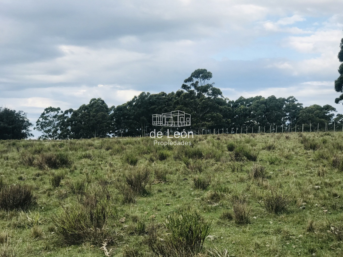 Campo en venta sobre Ruta 104 La Barra - GoPunta - Portal Inmobiliario de Punta del Este - Maldonado