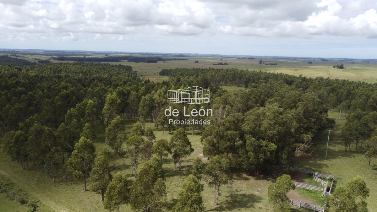 Campo Ref.15030 - Campo de 123 has en Garzon por camino Sainz Martinez