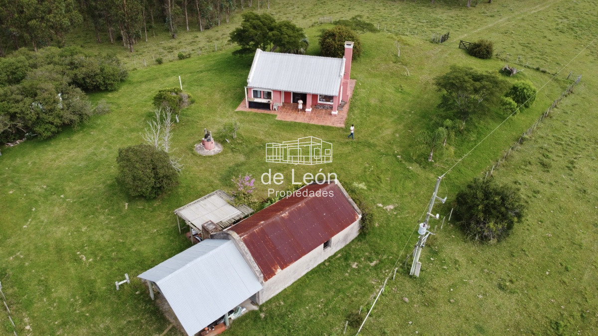 Campo Ref.15030 - Campo de 123 has en Garzon por camino Sainz Martinez
